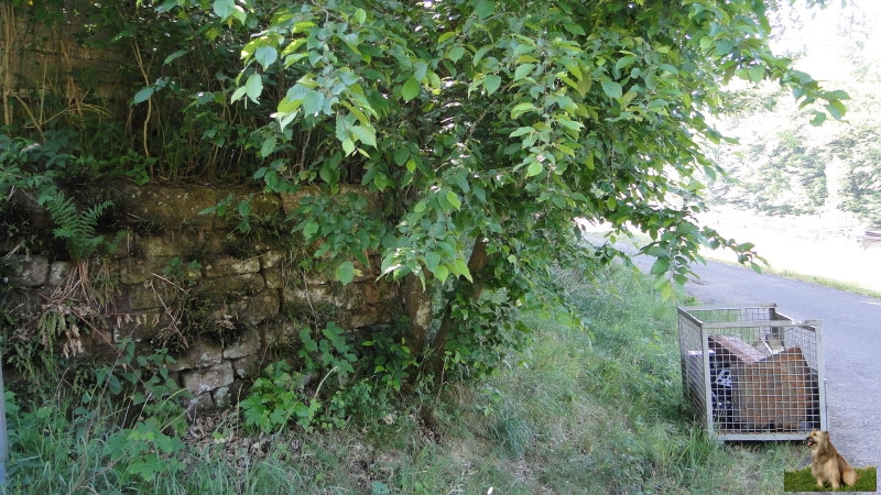 Ritterstein Nr. 125-4 Eisenschmelze.JPG - Ritterstein Nr.125  Eisenschmelze                               